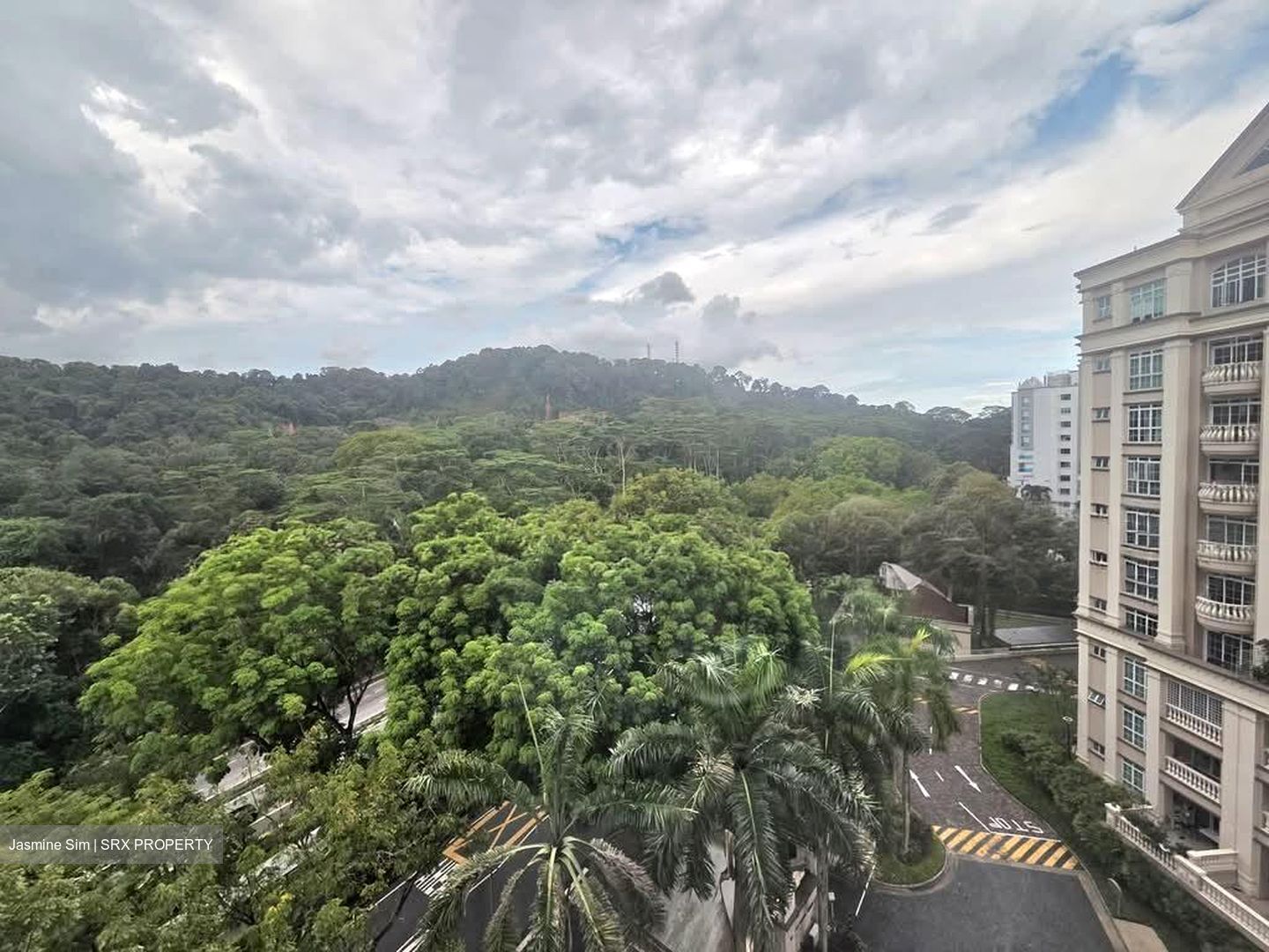 Symphony Heights (D21), Condominium #567792231